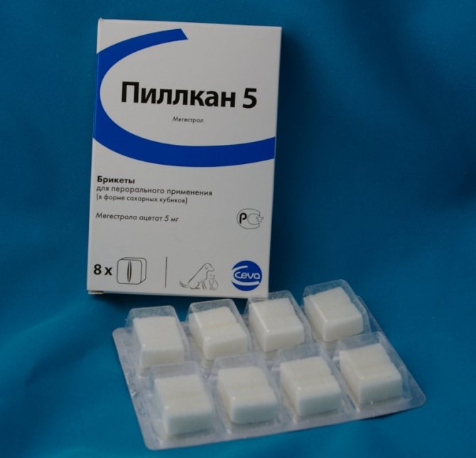 pillcan